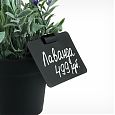 /images/catalog/3_tsennik_s_krepl/igolki/MINISTICK/yqgh3sykobf28epjfzzm8rte8hzolu32-780kh682.jpg